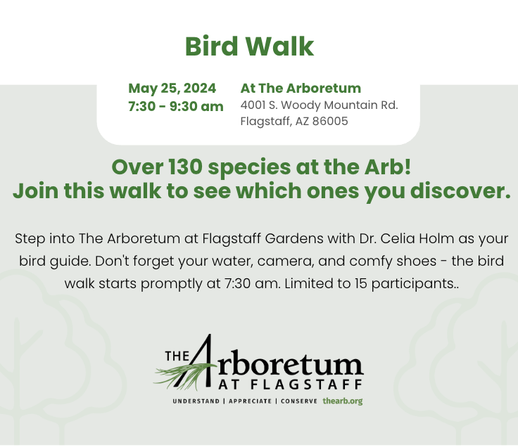 Bird Walk May 25